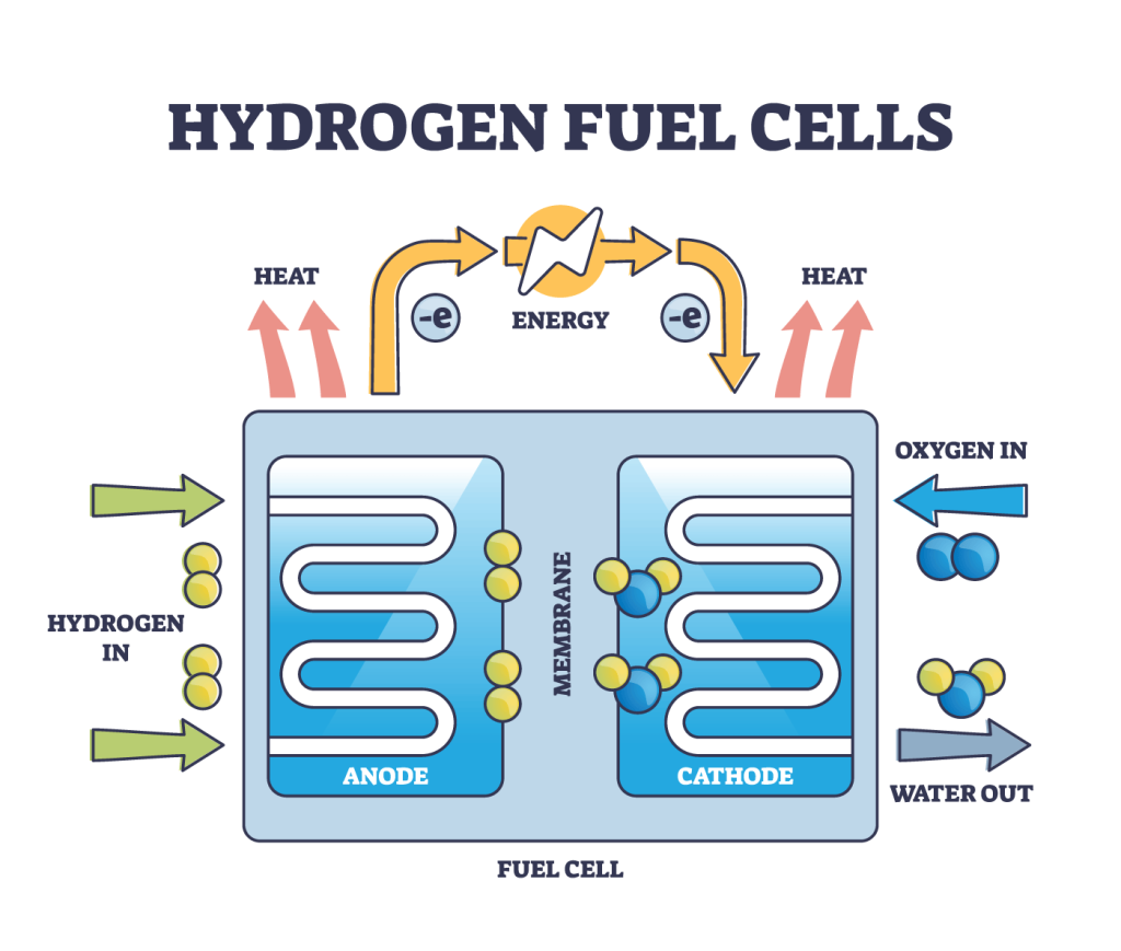 - Silvex Inc. Diagram of a Hydrogen Fuel Cell