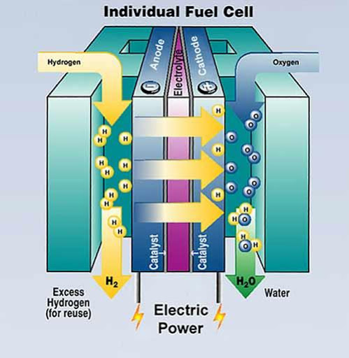 Understanding Electrolyzers: How They Work and Their Role in Green Energy
